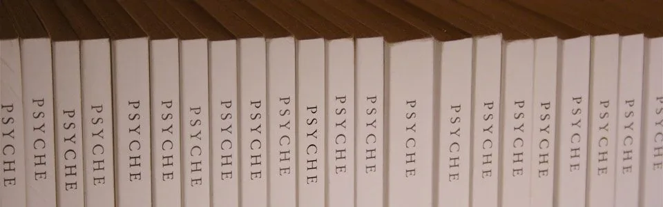 Buchrücken der Zeitschriftenreihe PSYCHE in einem Regal